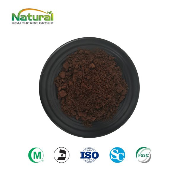 Ganoderma Lucidum sporų milteliai