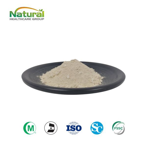 Garcinia Cambogia HCA milteliai