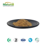 Gymnema Sylvestre ekstrakto milteliai